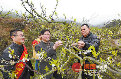 连城县农业系统组织开展农业"五新技术"指导志愿服务